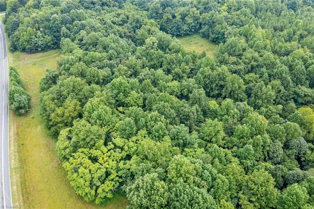 0 Ray Wilson Road Sandy Ridge, NC 27046 - Photo 7 of 13 lots of road frontage