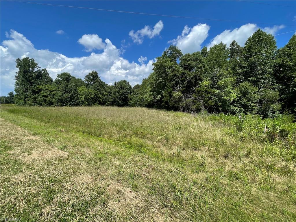 0 Ray Wilson Road Sandy Ridge, NC 27046 - Photo 8 of 13 road frontage