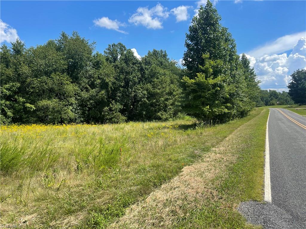 0 Ray Wilson Road Sandy Ridge, NC 27046 - Photo 9 of 13 road frontage