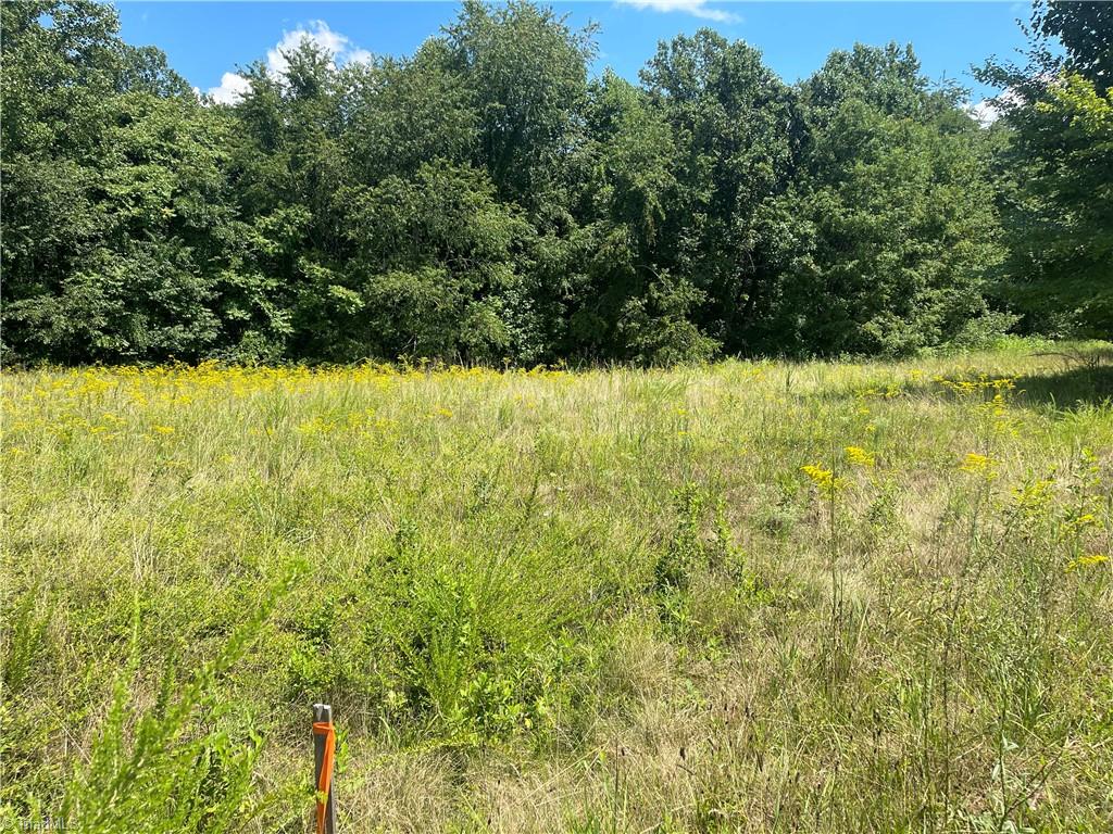0 Ray Wilson Road Sandy Ridge, NC 27046 - Photo 10 of 13 road frontage