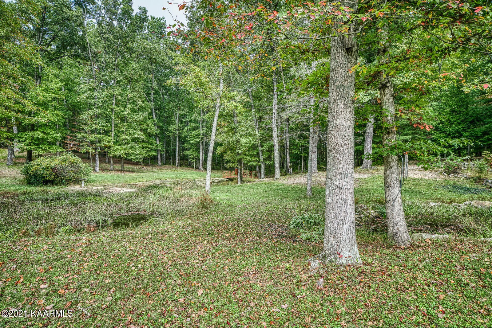 1446 Hensley Road Jamestown, TN 38556 - Photo 13 of 58 Gallery Image 13