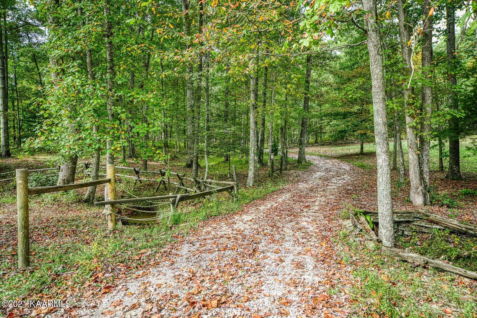 1446 Hensley Road Jamestown, TN 38556 - Photo 15 of 58 Gallery Image 15