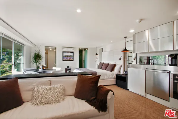 a living room with furniture and a potted plant
