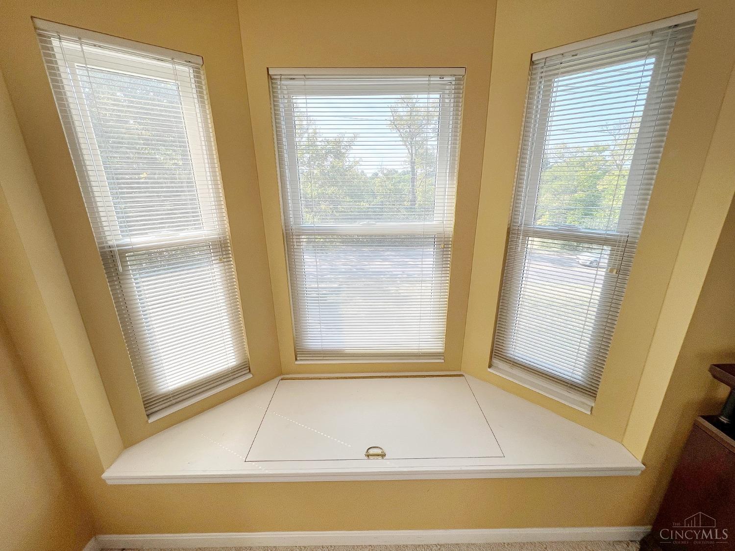 8408 Ridge Pointe Court, Unit 13 Reading, OH 45237 - Photo 14 of 39 Here's a bump out window. Add a soft cushion and you have a window seat. There's storage space too!