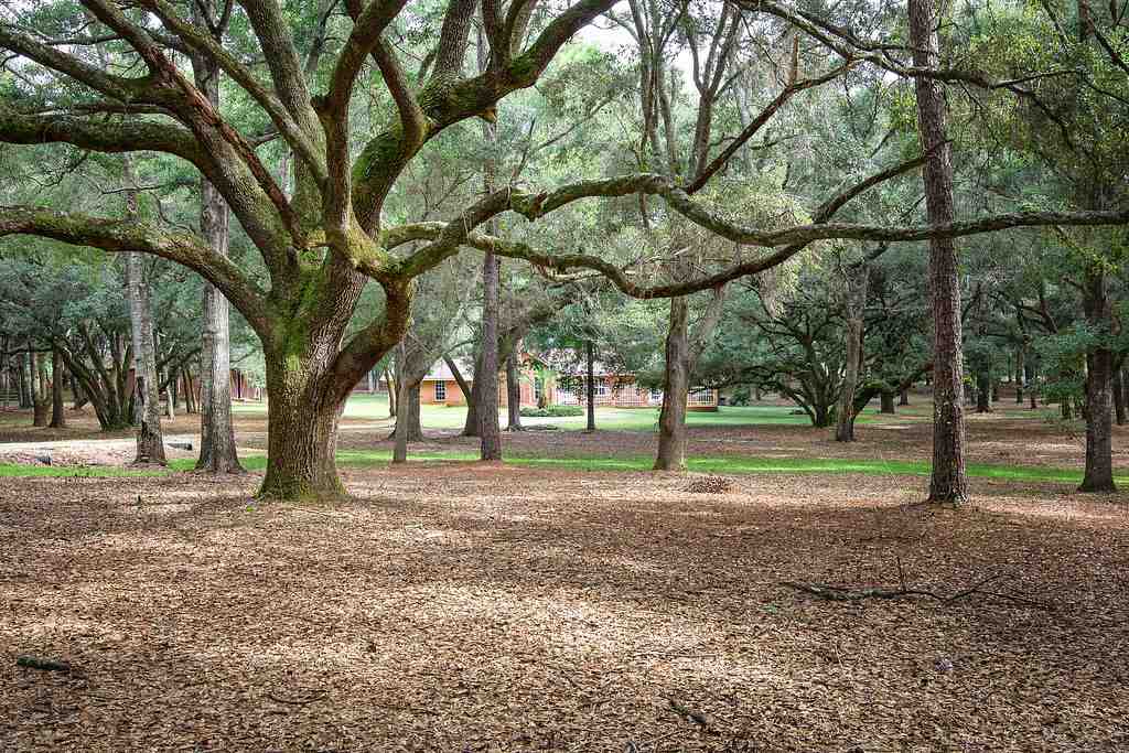 0 US Highway 98 Foley, AL 36535 - Photo 8 of 22