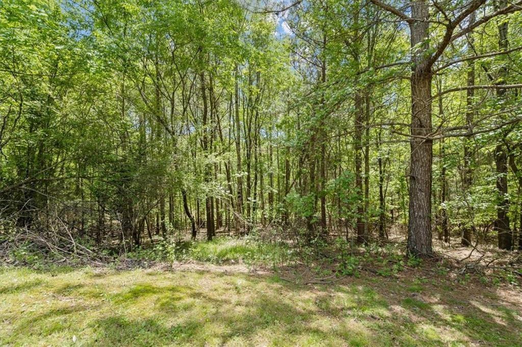 16160 Henderson Road Alpharetta, GA 30004 - Photo 22 of 25