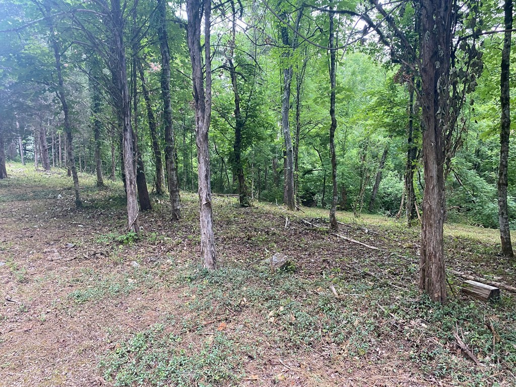 12 Pollard Road Kodak, TN 37764 - Photo 12 of 12 Gallery Image 12
