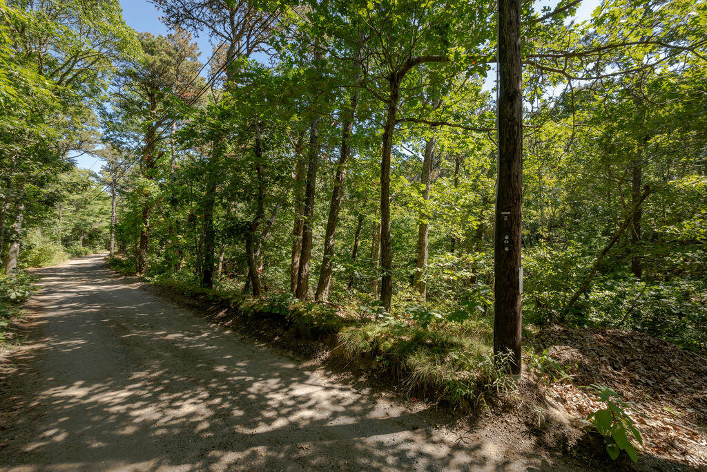 40 Old Long Pond Road Wellfleet, MA 02667 - Photo 6 of 13 40_Old_Long_Pond1-13