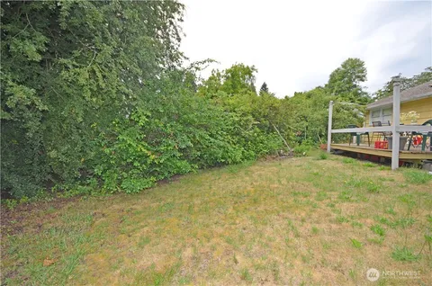 a backyard of a house with plants and large trees