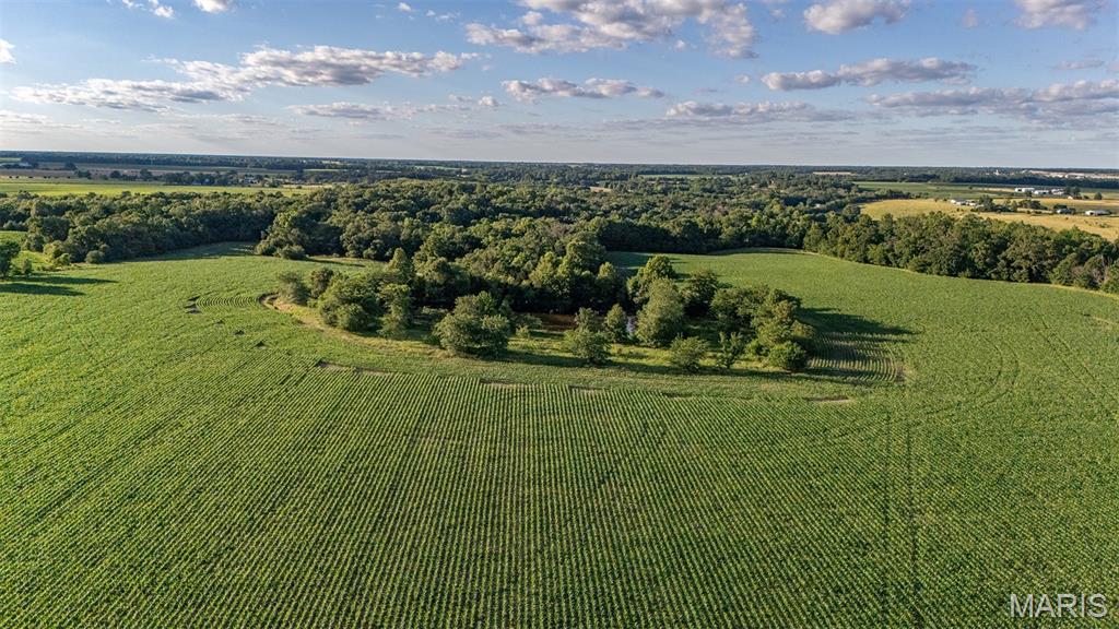 0 Gentry Road Monroe City, MO 63456 - Photo 8 of 19
