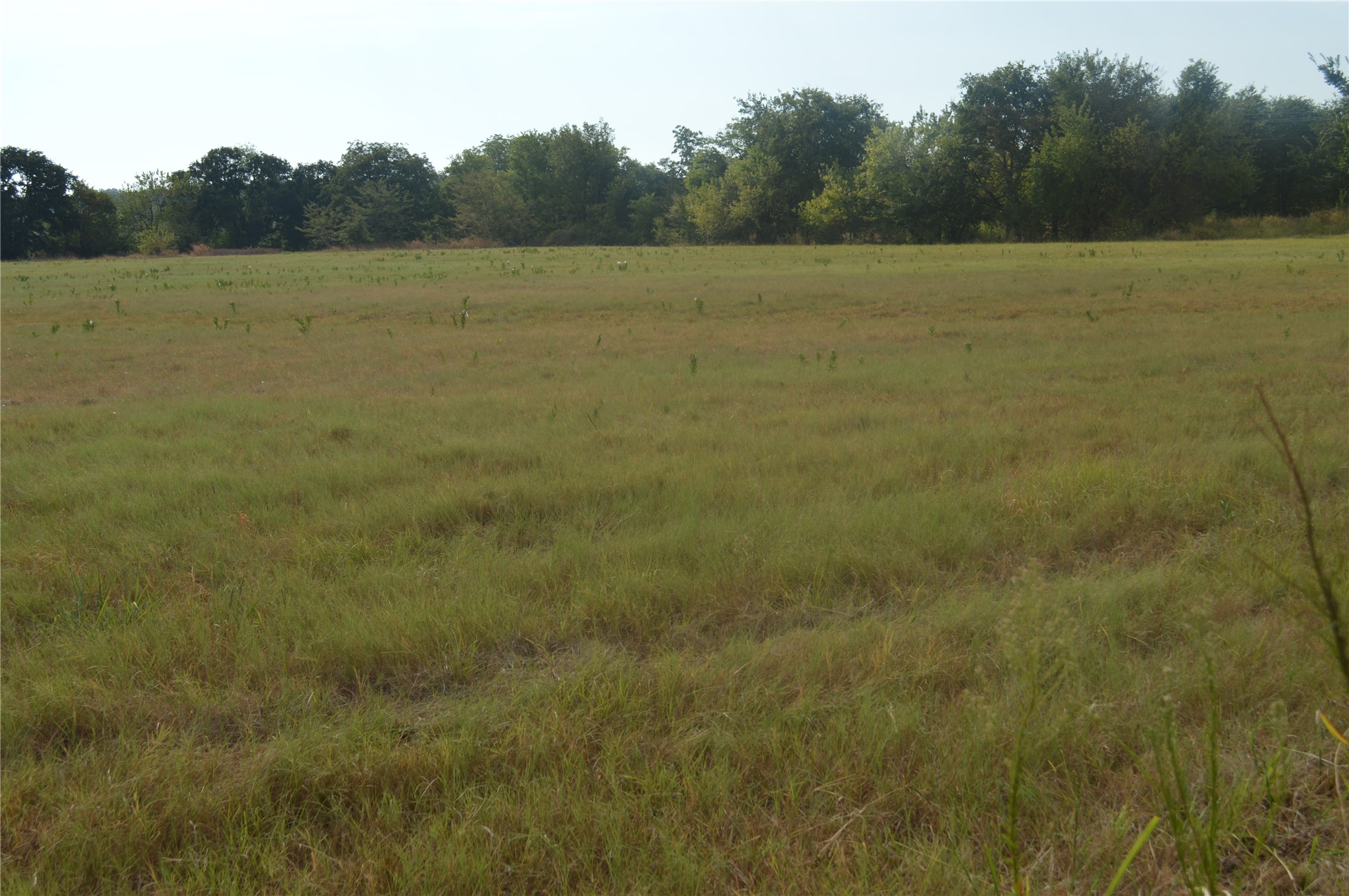 0 Page Road Kingston, OK 73439 - Photo 2 of 9 Expansive open field with natural vegetation and distant mature trees