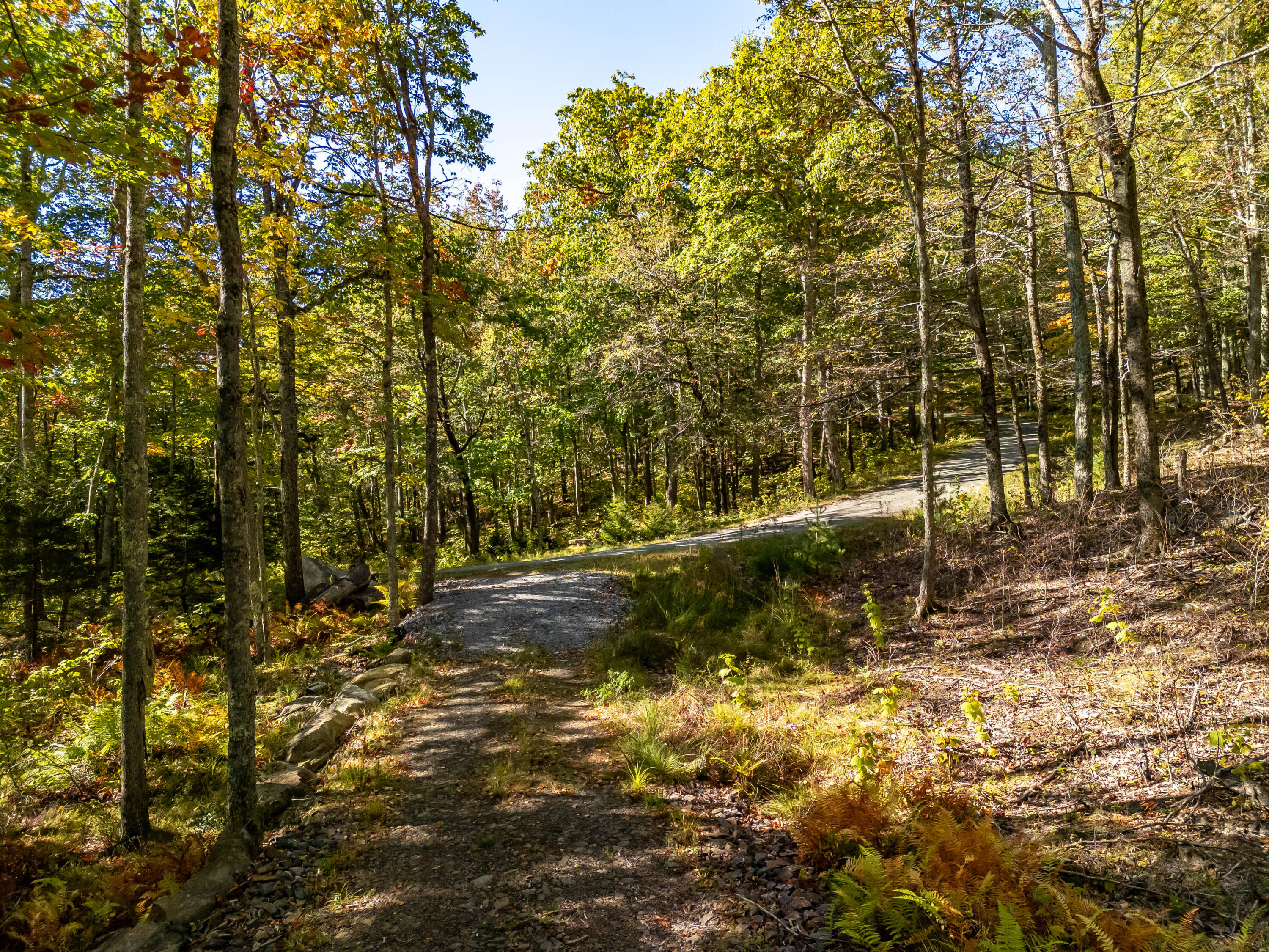 2 Bald Mountain Road Camden, ME 04843 - Photo 11 of 32 DJI_20251001095735_0084_D