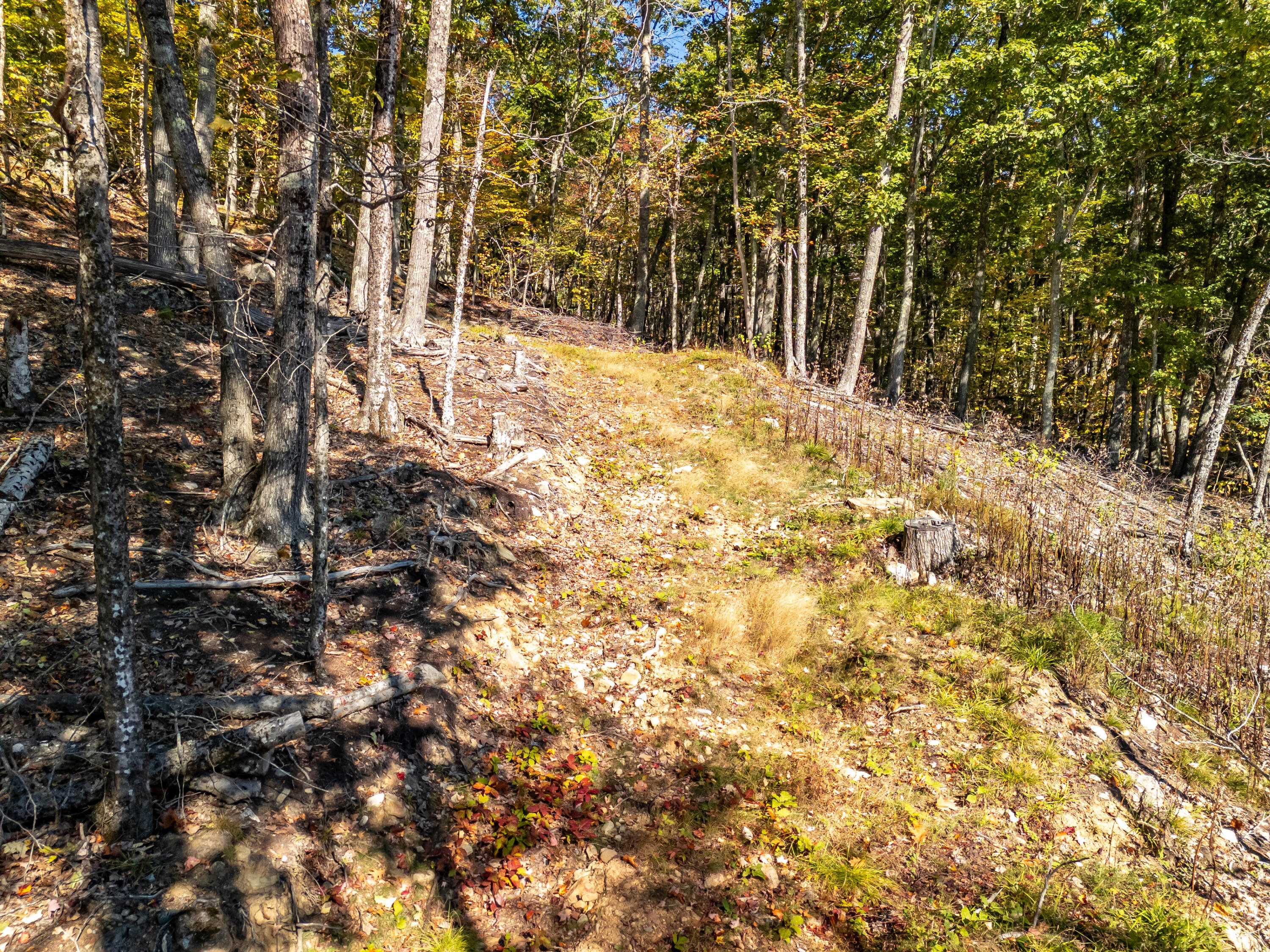 2 Bald Mountain Road Camden, ME 04843 - Photo 15 of 32 DJI_20251001100042_0104_D