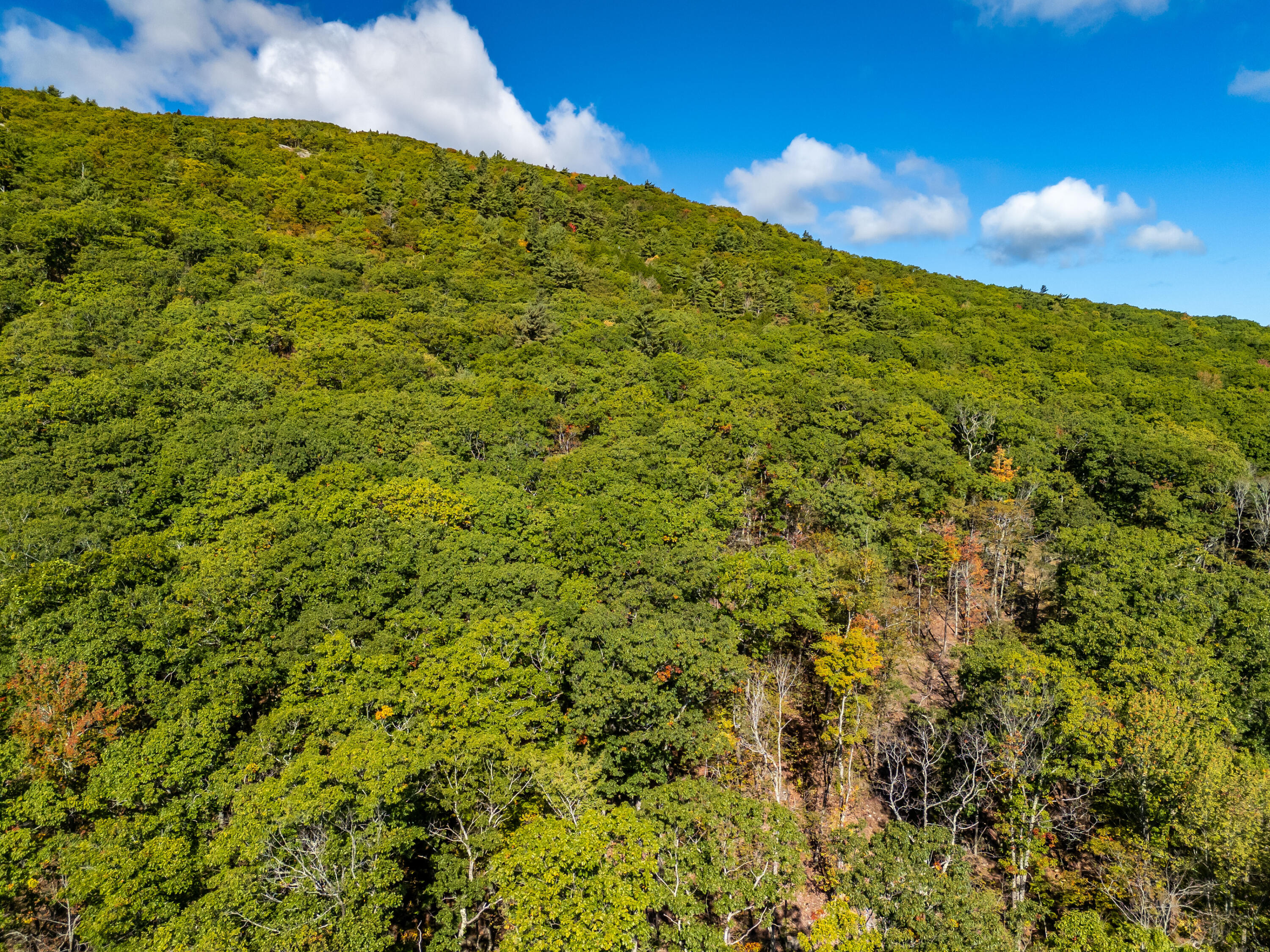 2 Bald Mountain Road Camden, ME 04843 - Photo 22 of 32 DJI_20251001101036_0135_D
