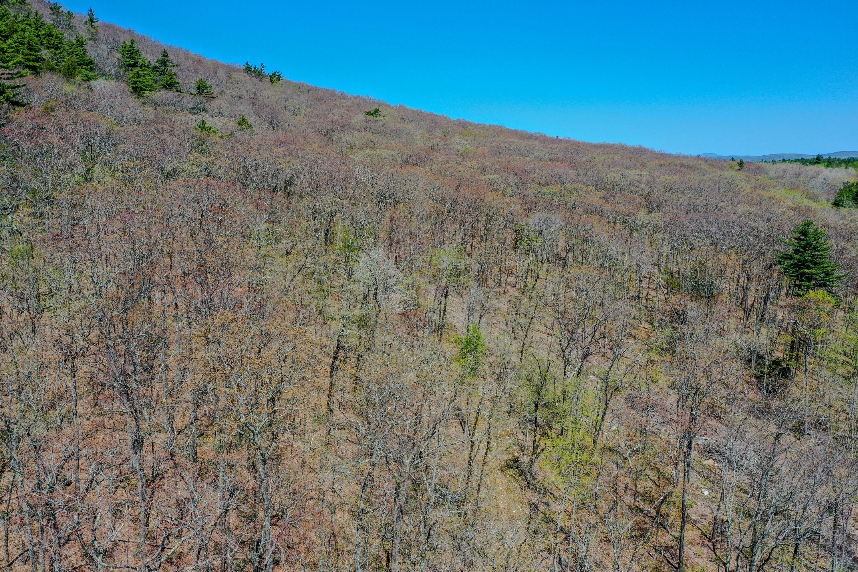 2 Bald Mountain Road Camden, ME 04843 - Photo 25 of 32 5049