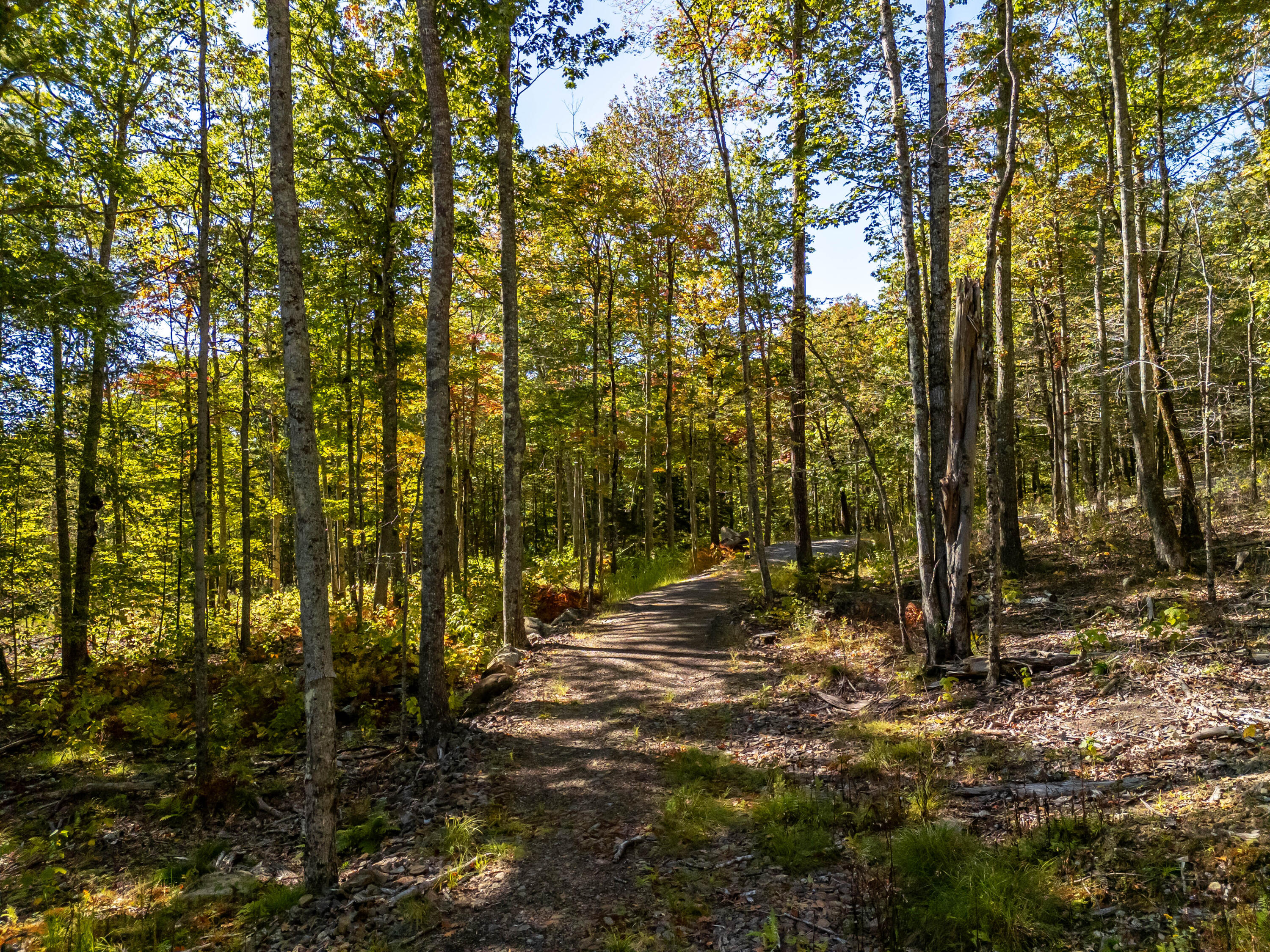 2 Bald Mountain Road Camden, ME 04843 - Photo 10 of 32 DJI_20251001095723_0079_D