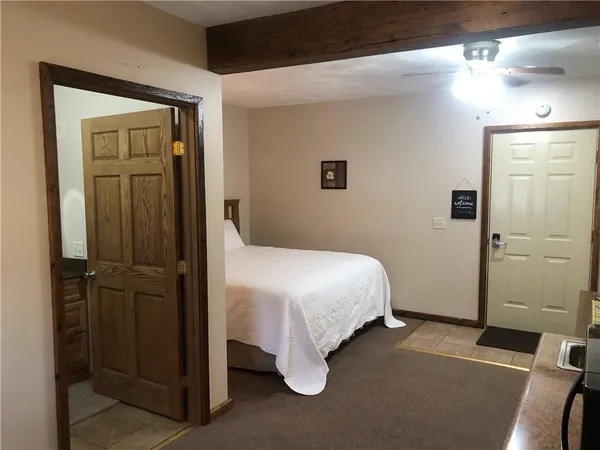 a view of a big yard with potted plants