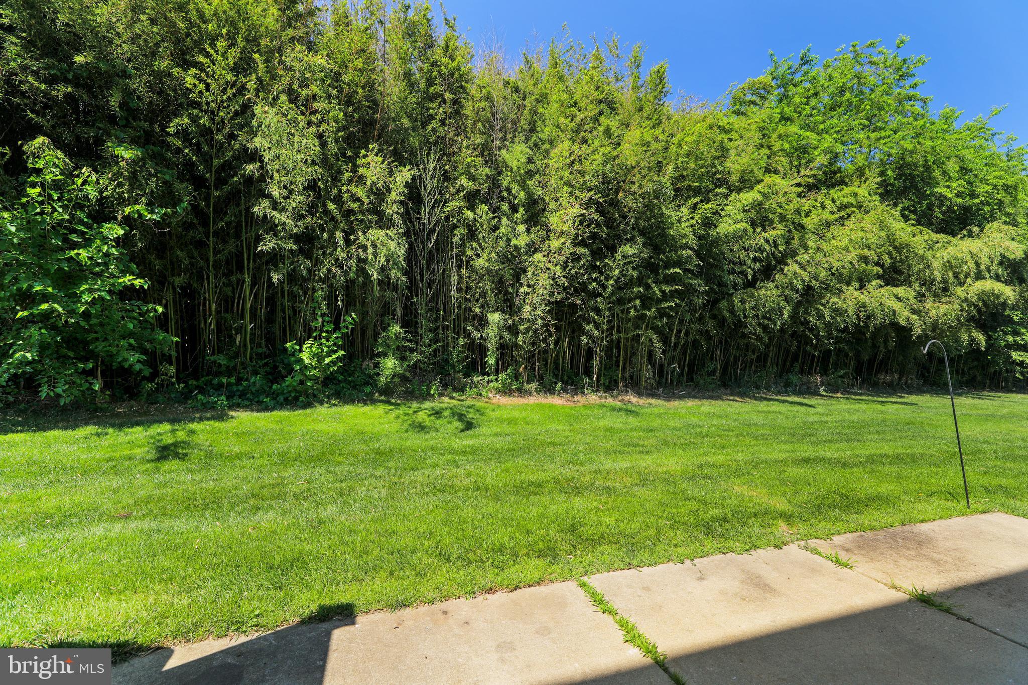 1041 Buckingham Thorofare, NJ 08086 - Photo 33 of 35 a backyard of a house with lots of green space