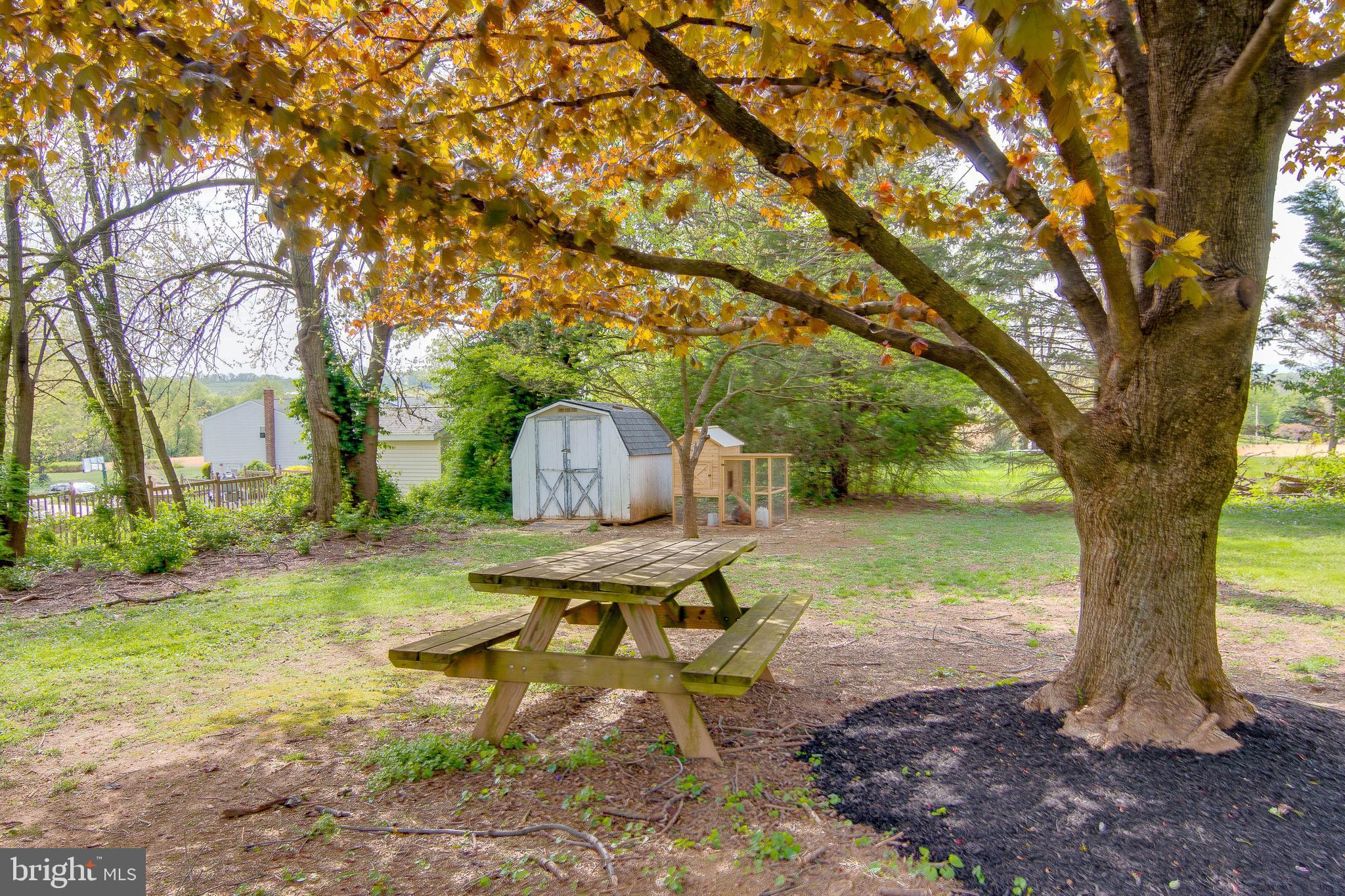1505 Hughes Shop Road Westminster, MD 21158 - Photo 15 of 54 Back Yard View 3