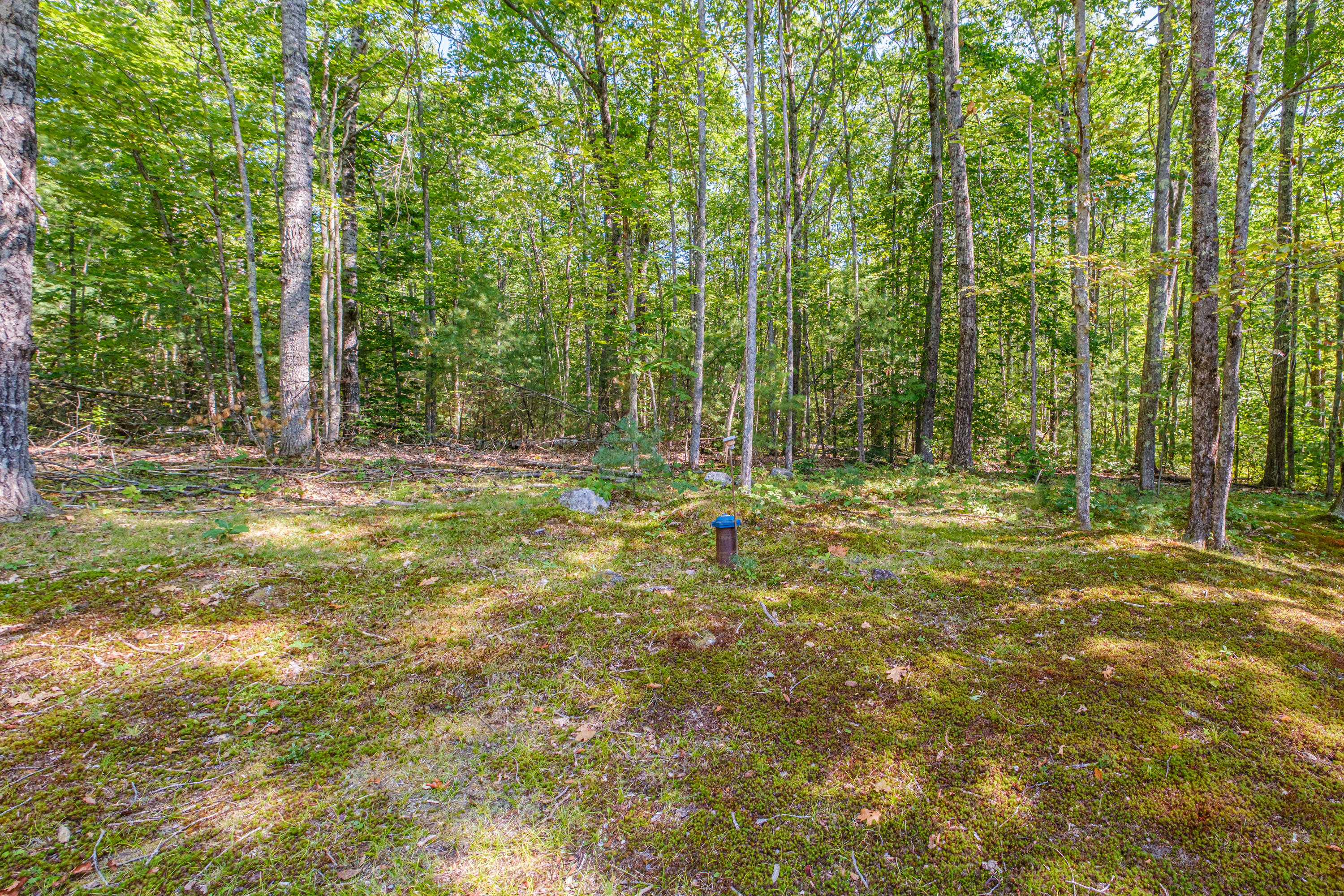 44 Mountain View Road North Waterboro, ME 04061 - Photo 54 of 55 20250909gp-61060