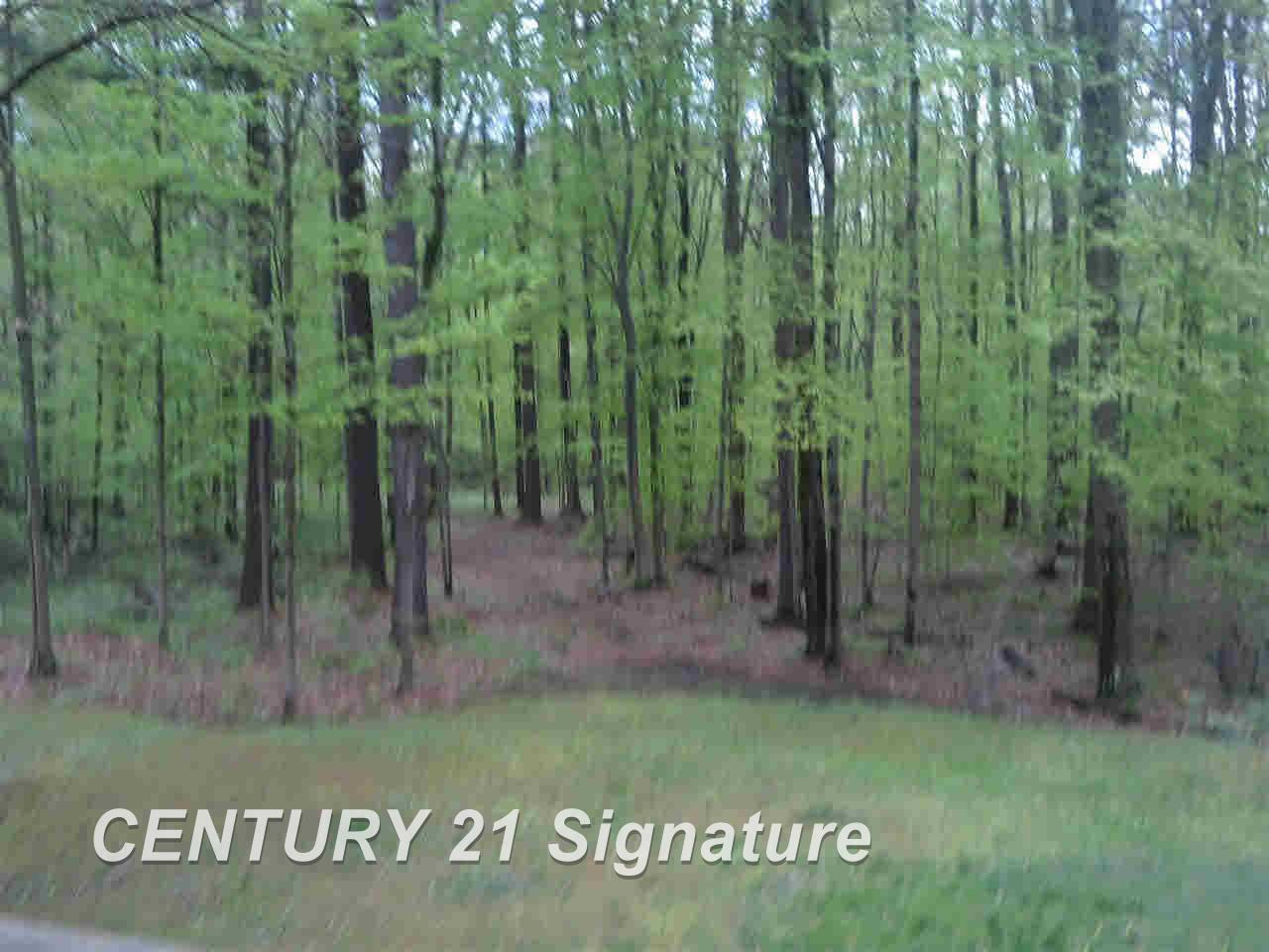 10185 South Lewis Road Clio, MI 48420 - Photo 19 of 26