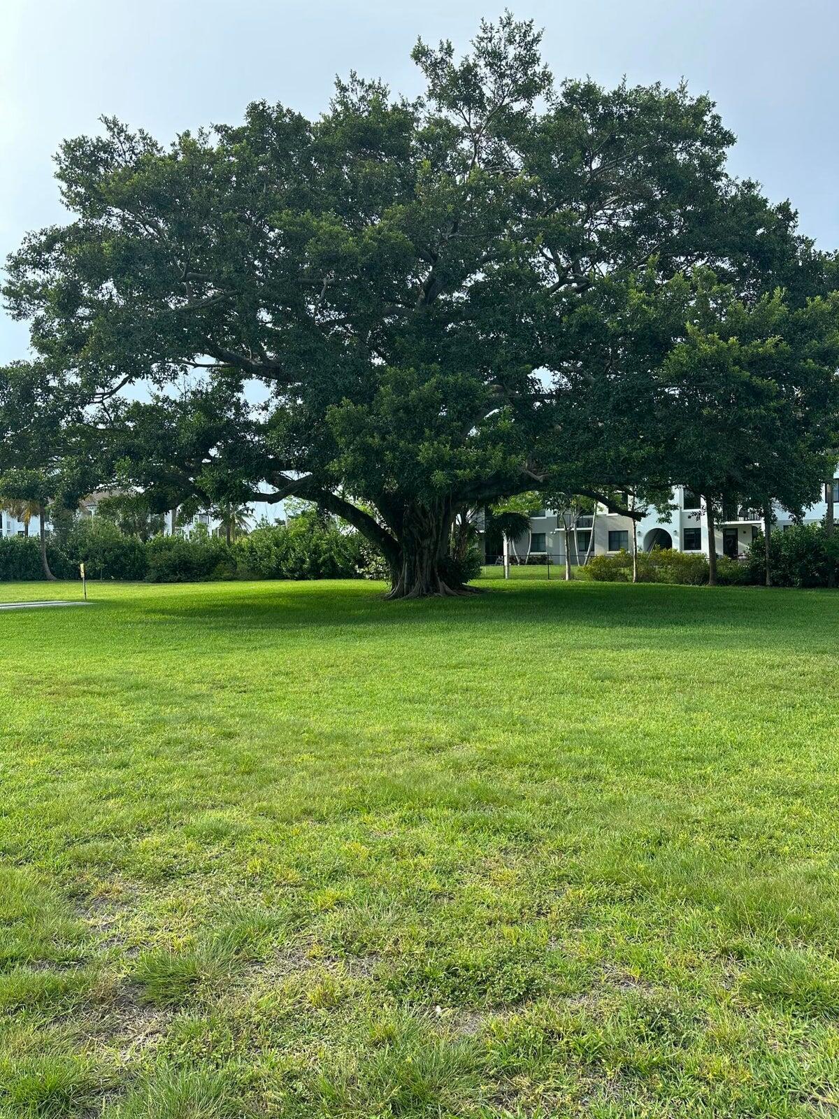 9355 Southwest 8th Street, Unit 421 Boca Raton, FL 33428 - Photo 18 of 20 a view of a green field