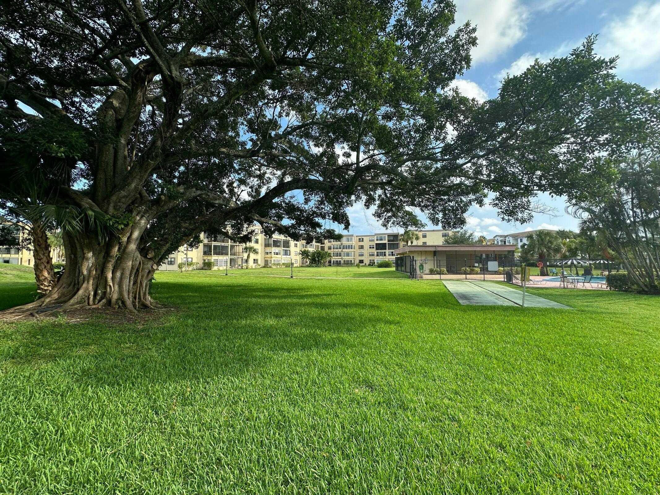 9355 Southwest 8th Street, Unit 421 Boca Raton, FL 33428 - Photo 20 of 20 a view of a park with large trees