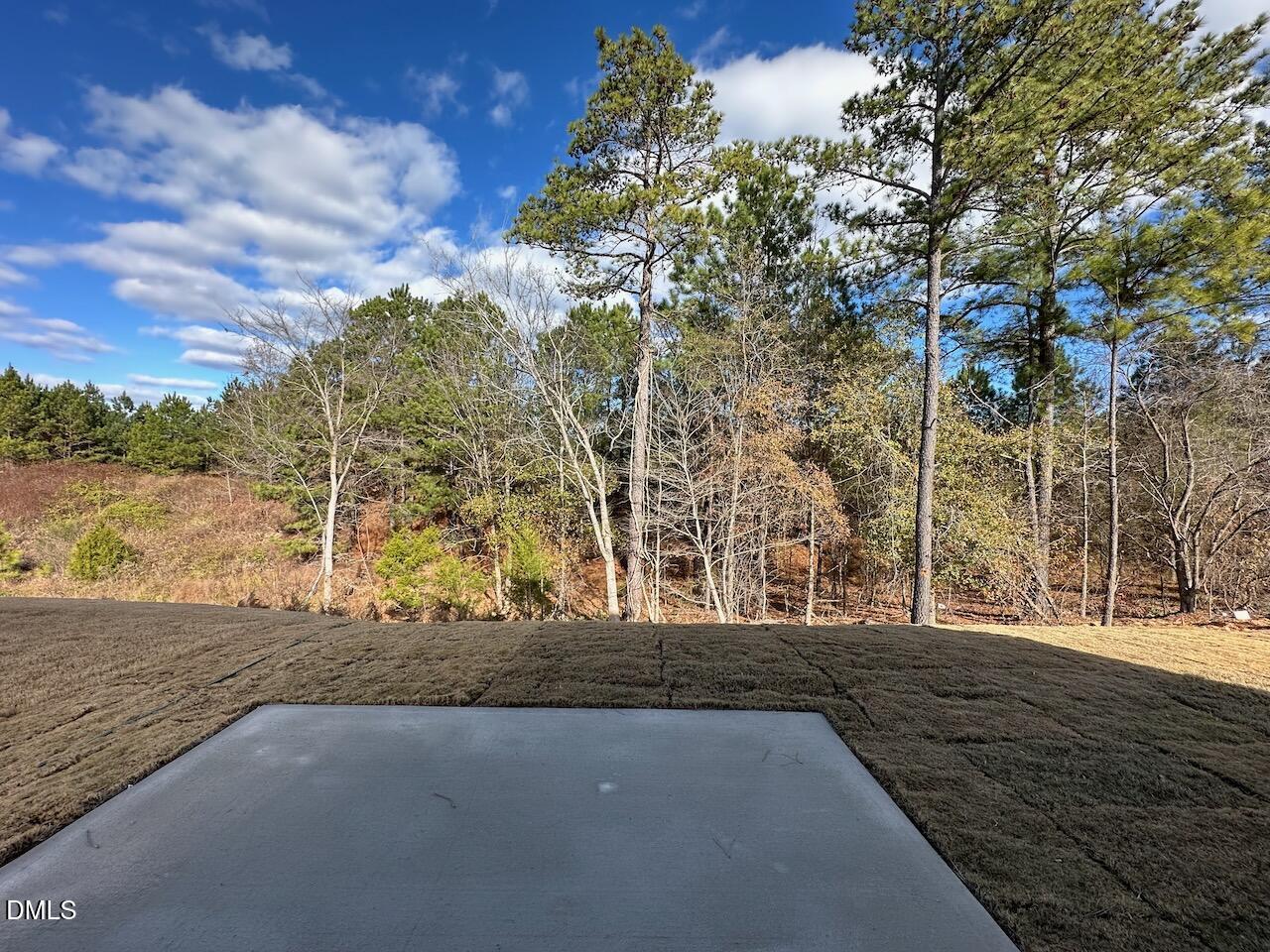 4961 Trout Crst Court Raleigh, NC 27604 - Photo 24 of 25 a view of a yard