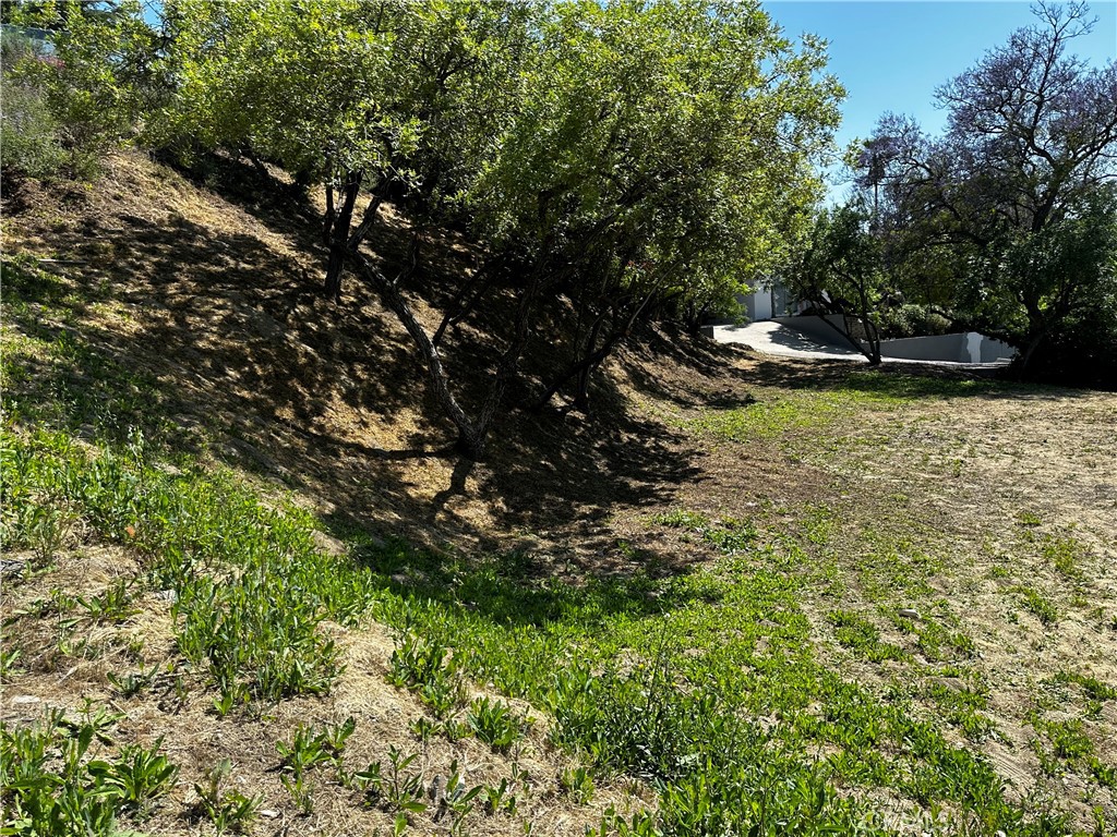 4632 Libbit Avenue Encino, CA 91436 - Photo 12 of 17