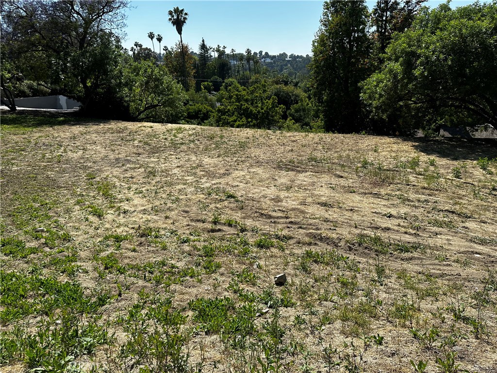 4632 Libbit Avenue Encino, CA 91436 - Photo 2 of 17