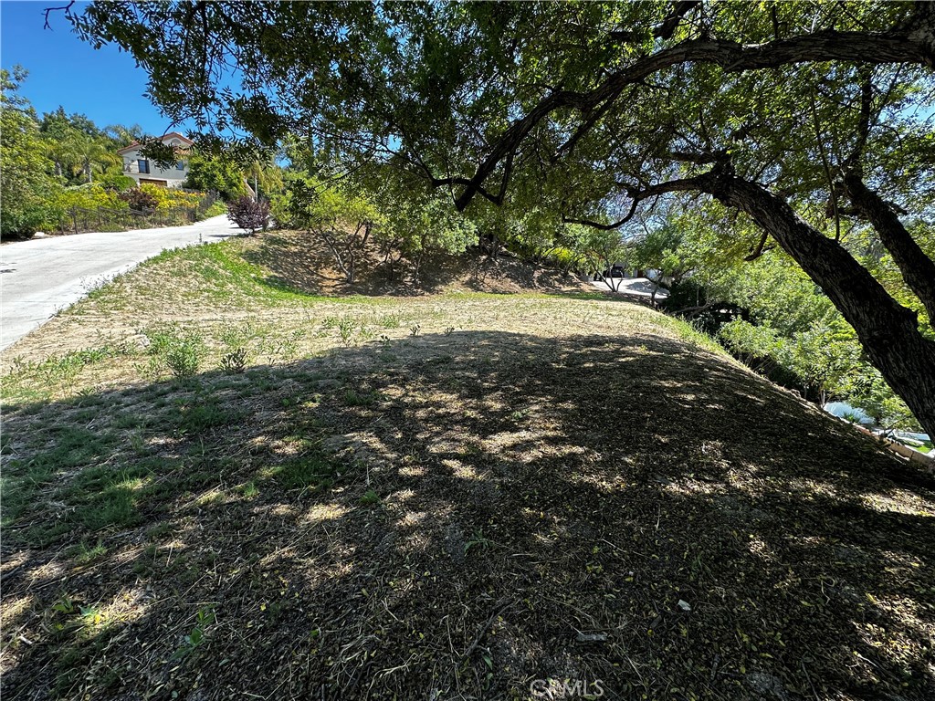 4632 Libbit Avenue Encino, CA 91436 - Photo 10 of 17