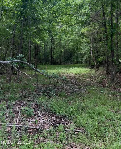 $260,000 | 5135 South S Highway, Hernando, MS 38632