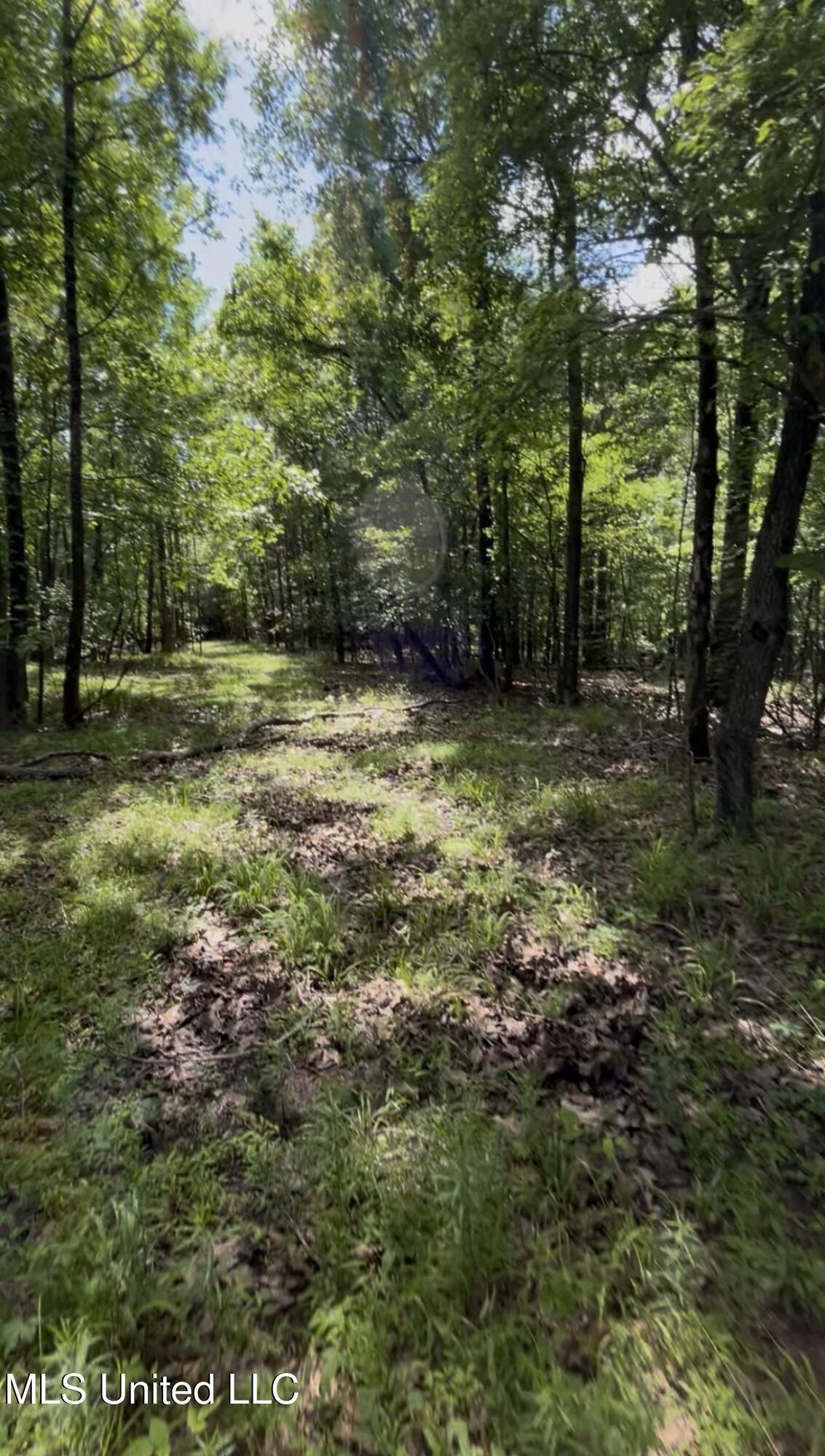 5135 South S Highway Hernando, MS 38632 - Photo 2 of 2 IMG_7885