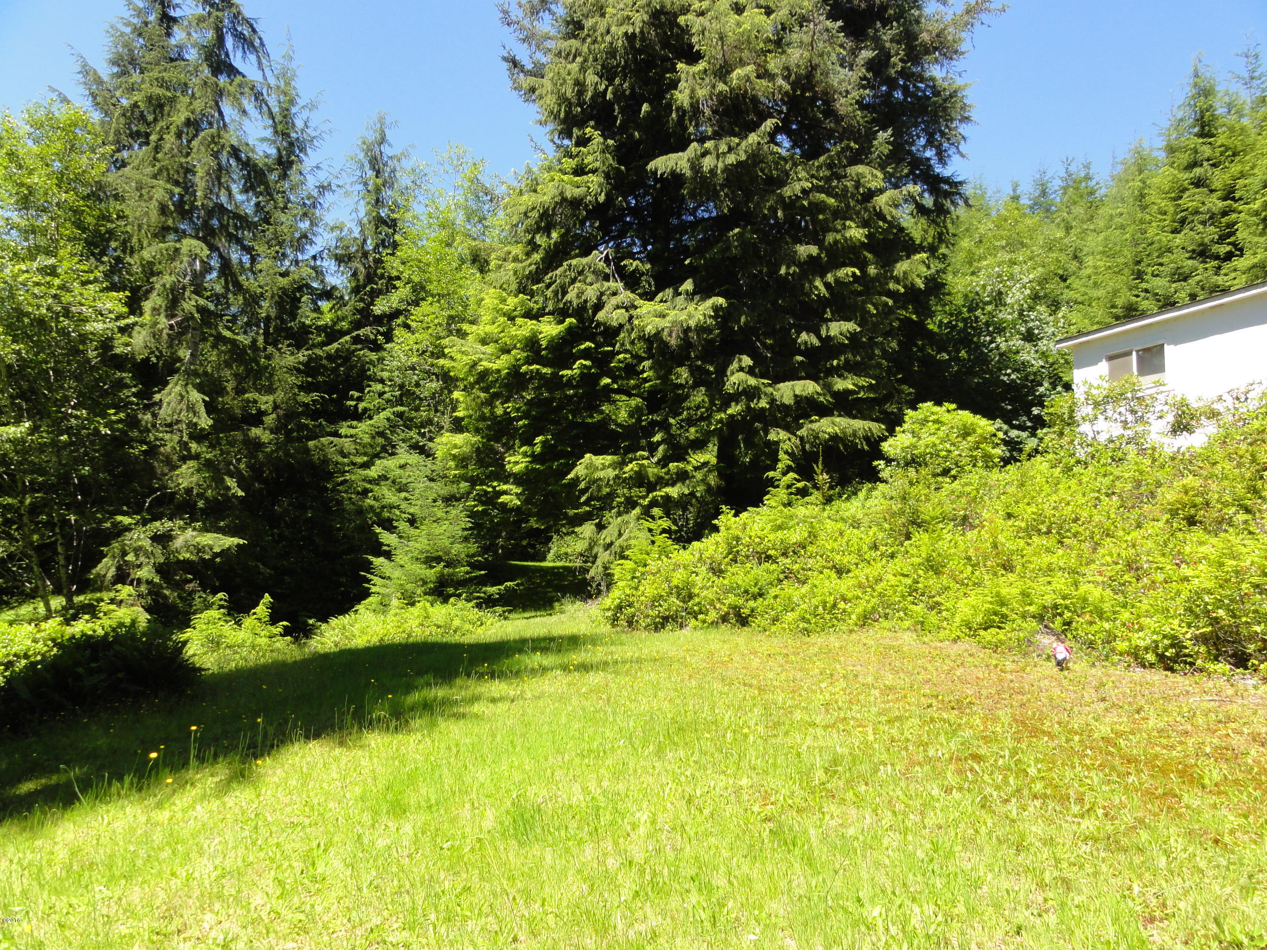 5679 South Immonen Road Lincoln City, OR 97367 - Photo 20 of 45 DSC03357