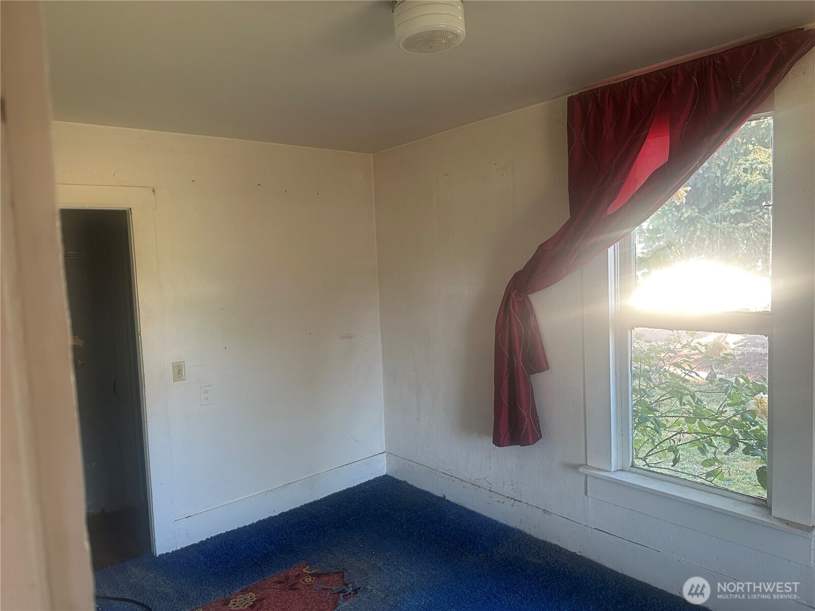 217 East Pe Ell Avenue Pe Ell, WA 98572 - Photo 5 of 22 Gallery Image 5