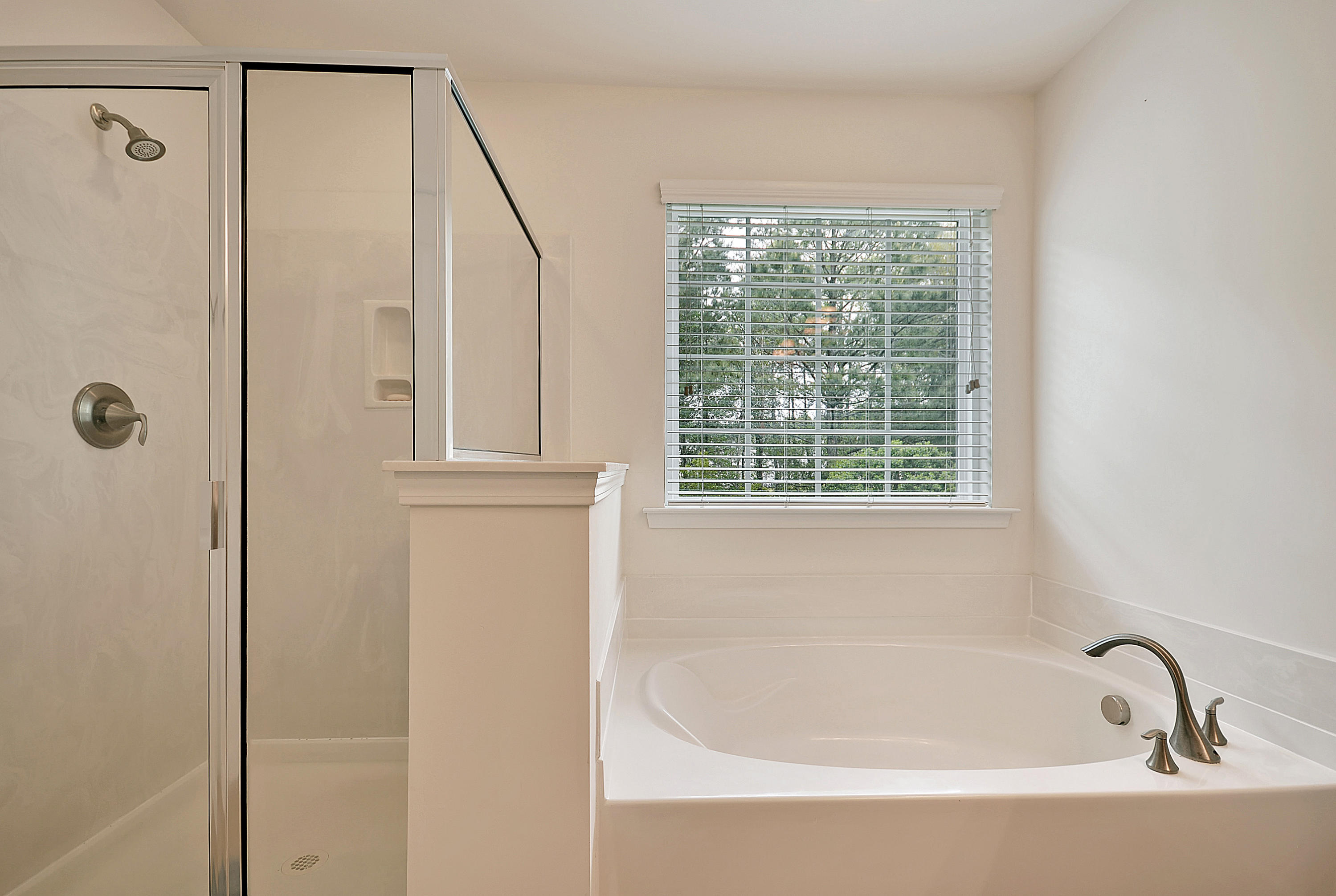 206 Buttonbush Court Moncks Corner, SC 29461 - Photo 19 of 33 Master Bath