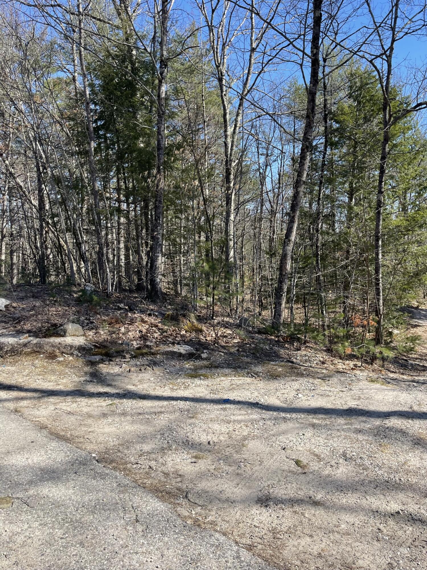 5 A Lake House Road Naples, ME 04055 - Photo 6 of 26 IMG_6470