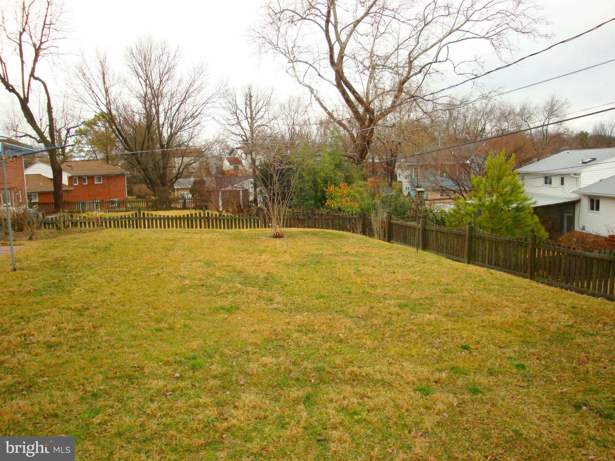 Backyard