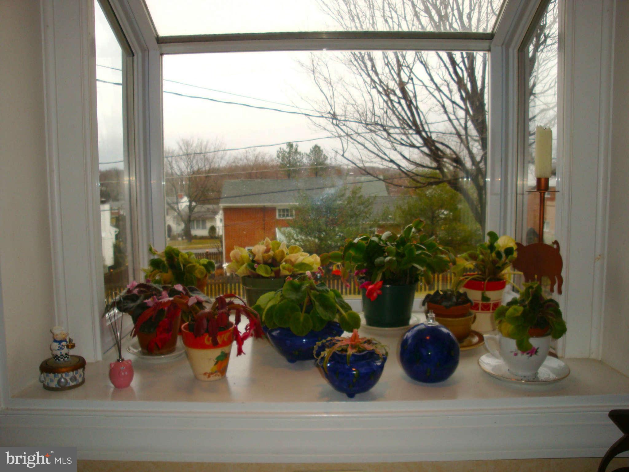 1507 Melton Road Lutherville-Timonium, MD 21093 - Photo 11 of 30 Garden Window