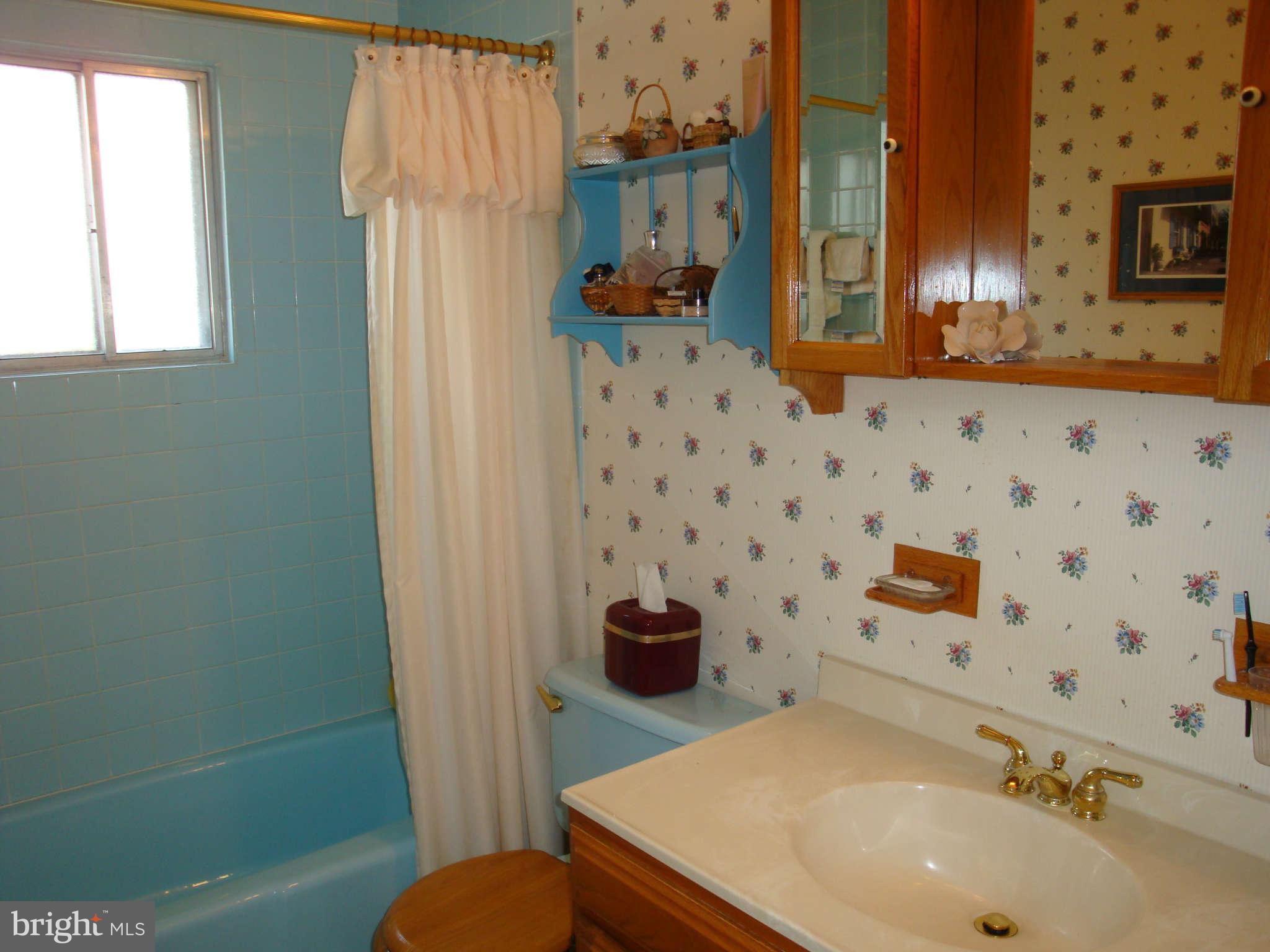 1507 Melton Road Lutherville-Timonium, MD 21093 - Photo 18 of 30 Full Hall Bathroom