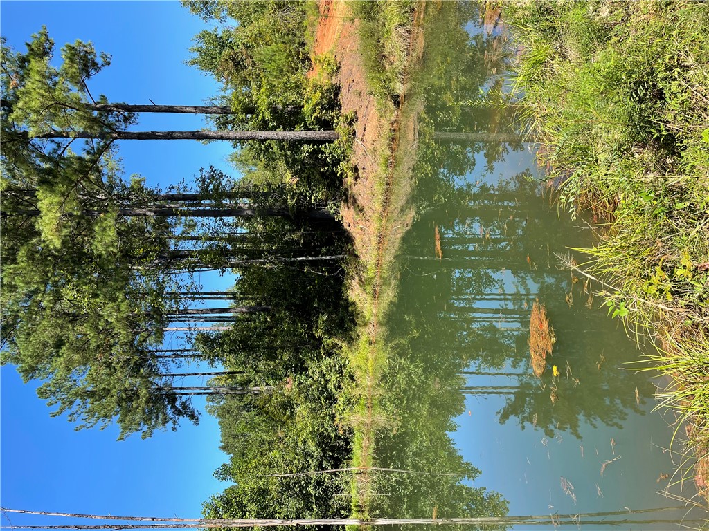 Tbd Colony Lane West Union, SC 29696 - Photo 12 of 36