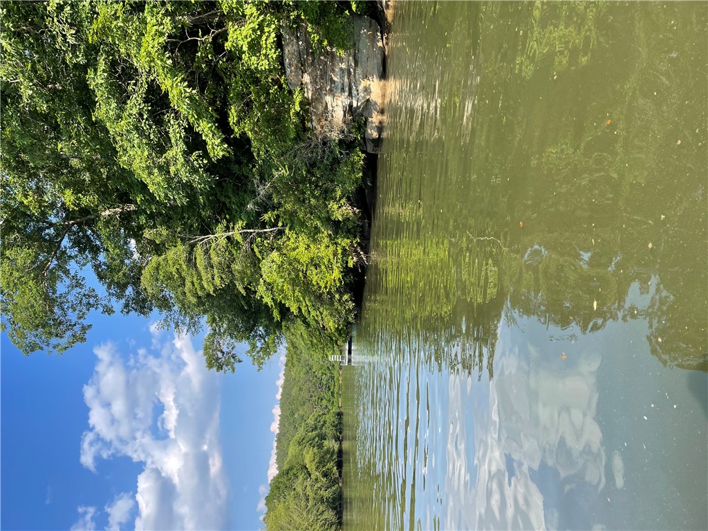 Tbd Colony Lane West Union, SC 29696 - Photo 19 of 36