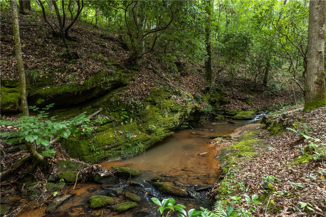 Tbd Colony Lane West Union, SC 29696 - Photo 24 of 36