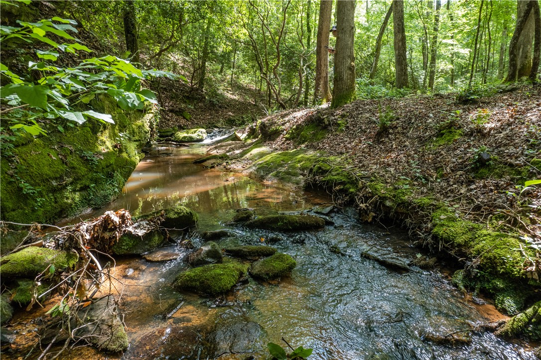 Tbd Colony Lane West Union, SC 29696 - Photo 26 of 36