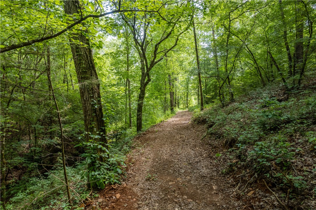 Tbd Colony Lane West Union, SC 29696 - Photo 27 of 36