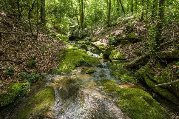 $3,400,000 | Tbd Colony Lane, West Union, SC 29696