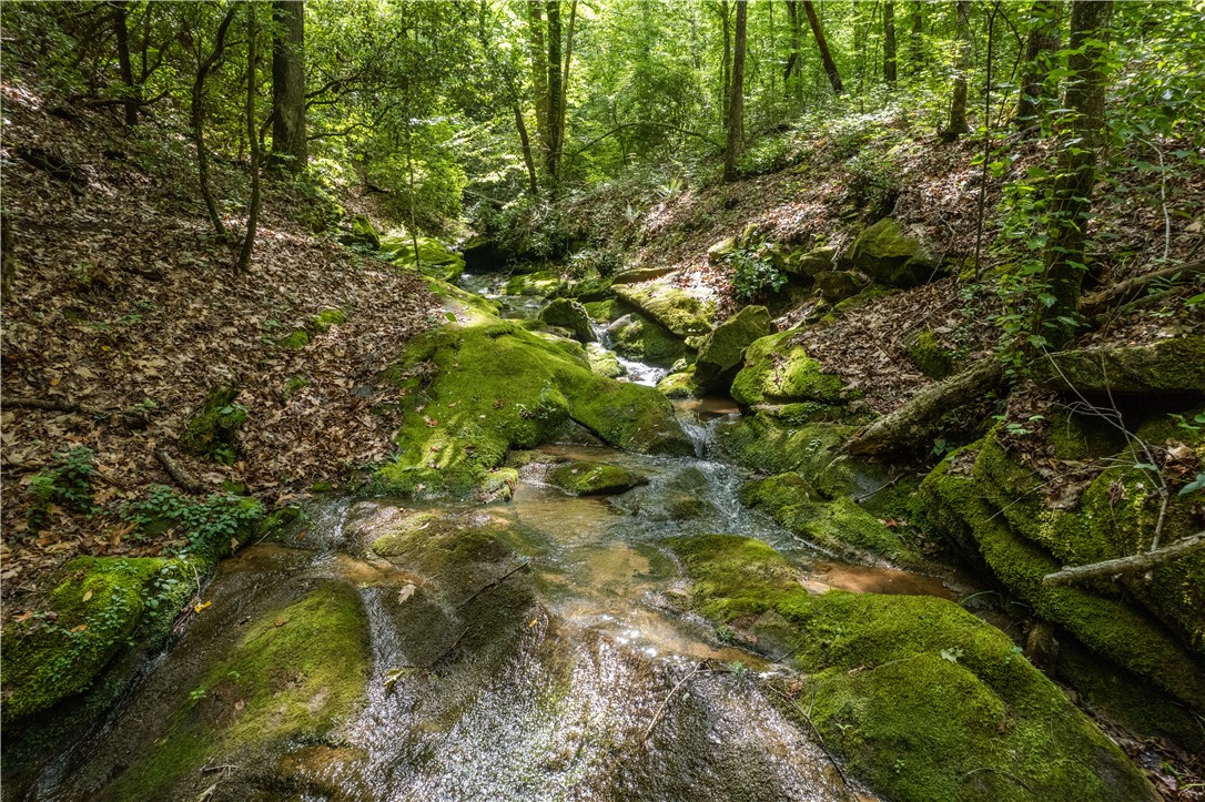 Tbd Colony Lane West Union, SC 29696 - Photo 29 of 36