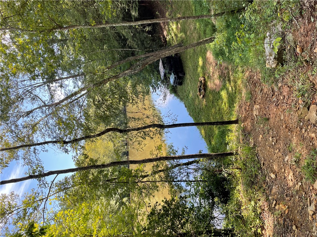 Tbd Colony Lane West Union, SC 29696 - Photo 3 of 36