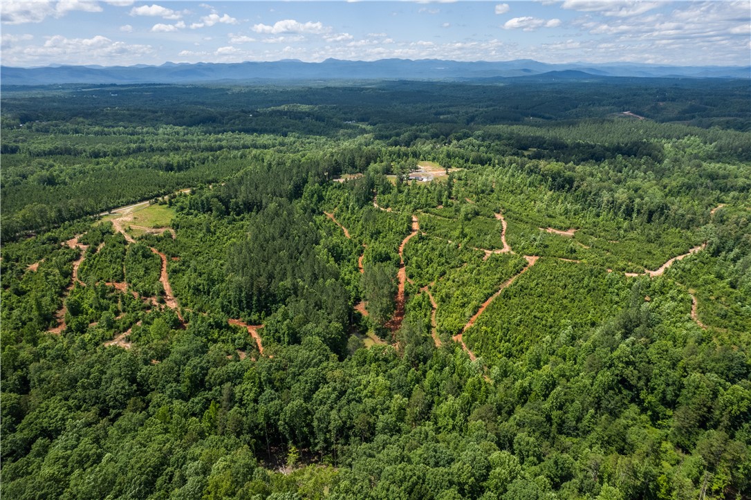 Tbd Colony Lane West Union, SC 29696 - Photo 34 of 36