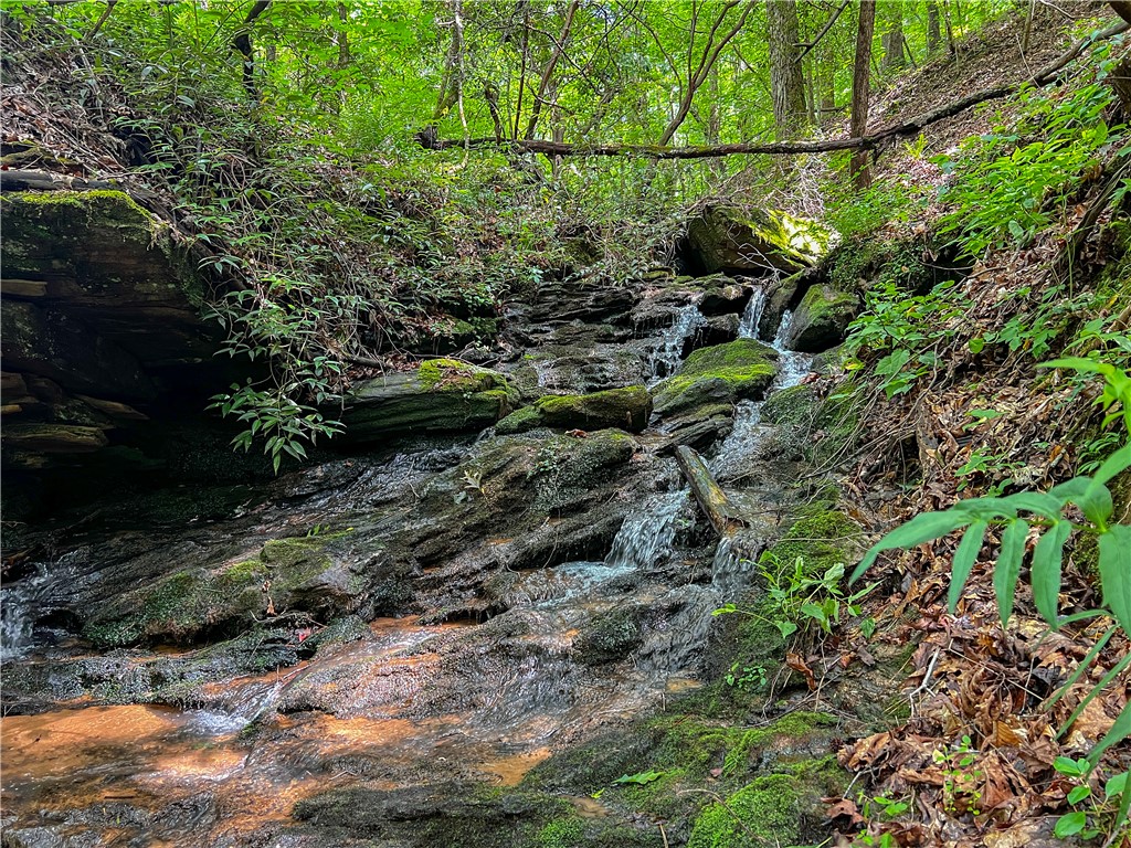 Tbd Colony Lane West Union, SC 29696 - Photo 35 of 36